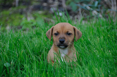 Similar image 7979777