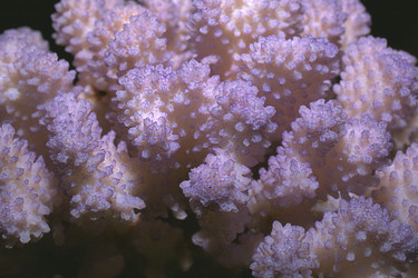 Similar image 7979778