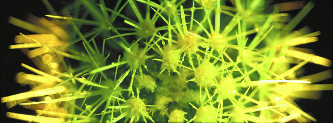 Similar image 7979788