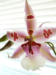 Similar image 7979789