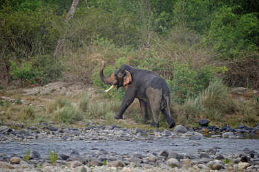 Similar image 7979797