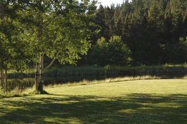 Similar image 7979803