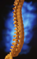 Similar image 7979805