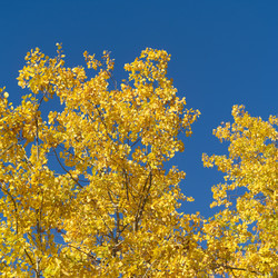 Similar image 7979809