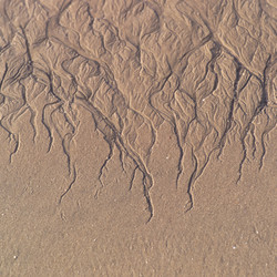 Similar image 7979814