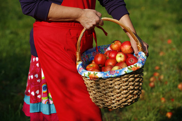 Similar image 7979818