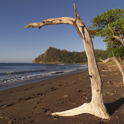 Similar image 7979819