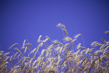 Similar image 7979821