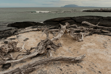 Similar image 7979823