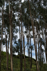 Similar image 7979826