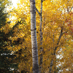 Similar image 7979827