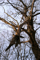 Similar image 7979835