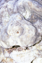 Similar image 7979839