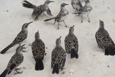 Similar image 7979841