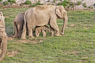 Similar image 7979847