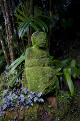 Similar image 7979850