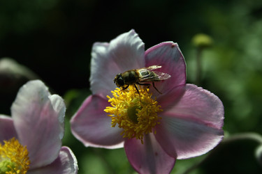 Similar image 7979851