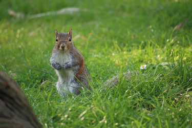 Similar image 7979853