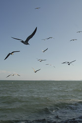 Similar image 7979854