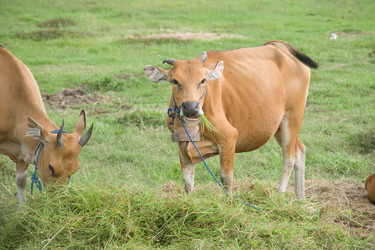 Similar image 7979862