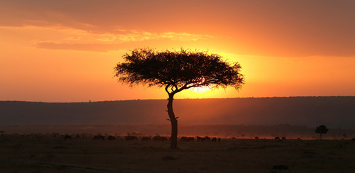 Similar image 7979876