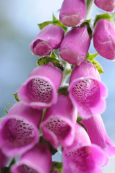 Similar image 7979881