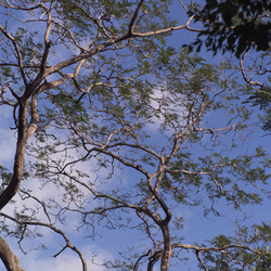 Similar image 7979882