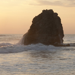 Similar image 7979883