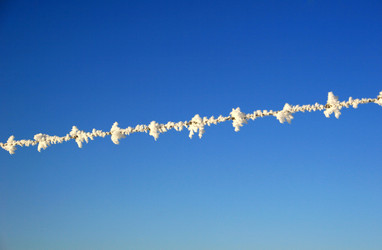 Similar image 7979886