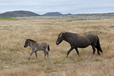 Similar image 7979894