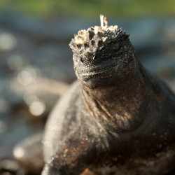 Similar image 7979895