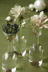 Similar image 7979897