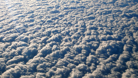 Similar image 7979900