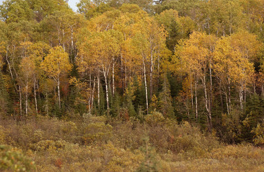 Similar image 7979901