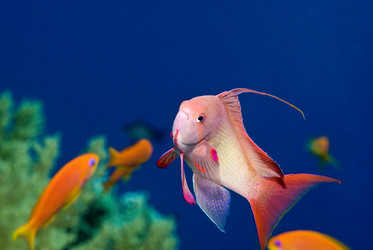 Similar image 7979903