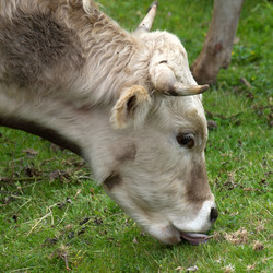 Similar image 7979904