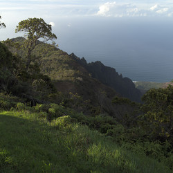 Similar image 7979906