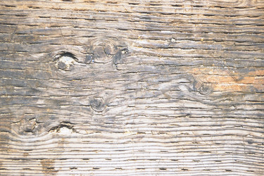 Similar image 7979911