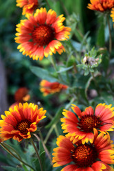 Similar image 7979912