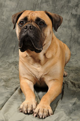 Similar image 7979918