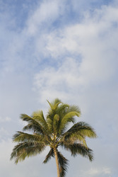 Similar image 7979928