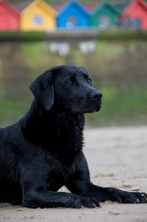 Similar image 7979929