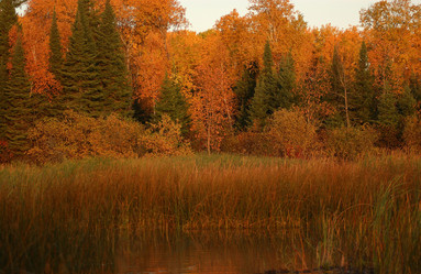 Similar image 7979937