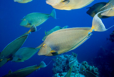 Similar image 7979946