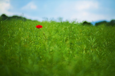 Similar image 7979950