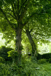 Similar image 7979958