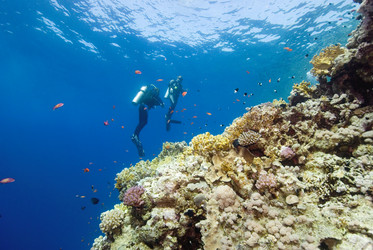 Similar image 7979965