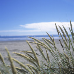 Similar image 7979970