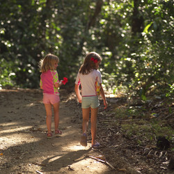 Similar image 7979977