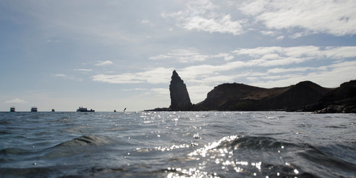 Similar image 7979984